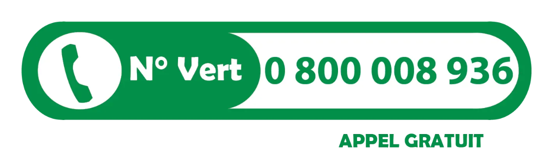 Avilia Traitement termites